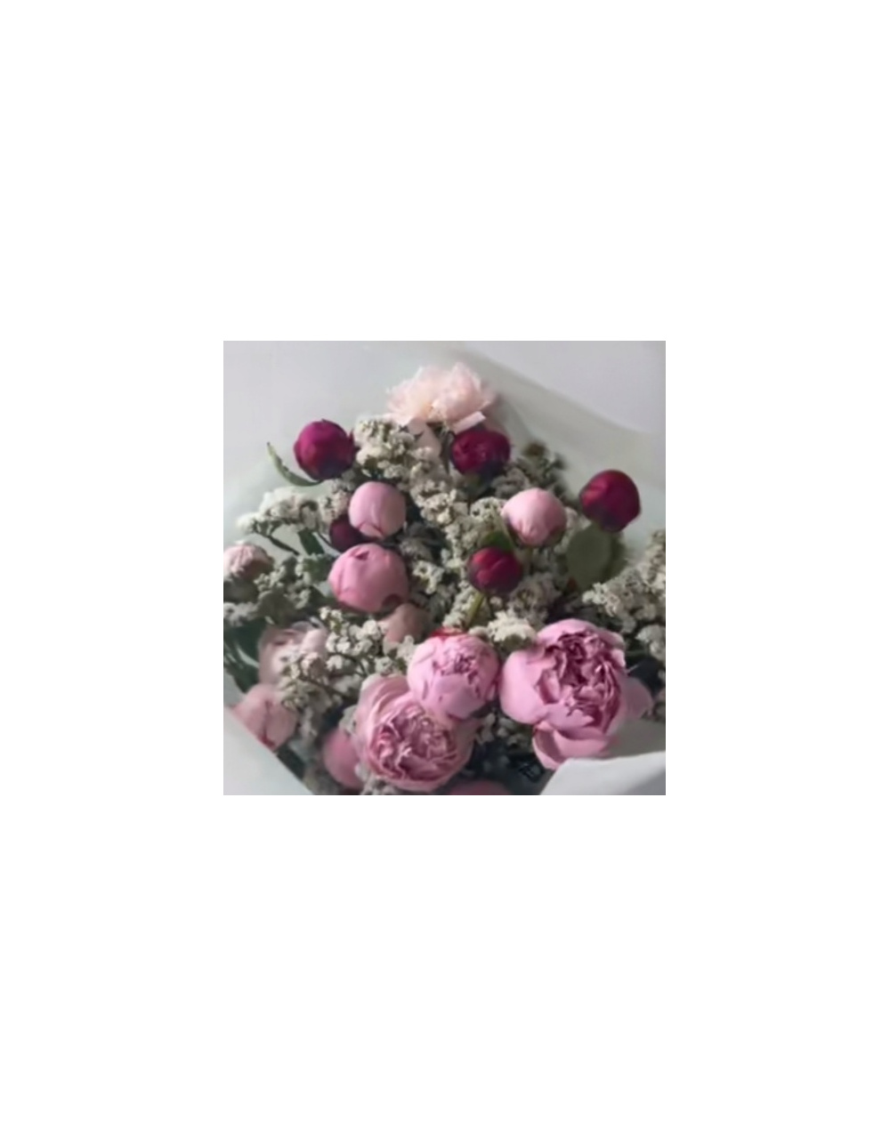 img-20260423-wa0015