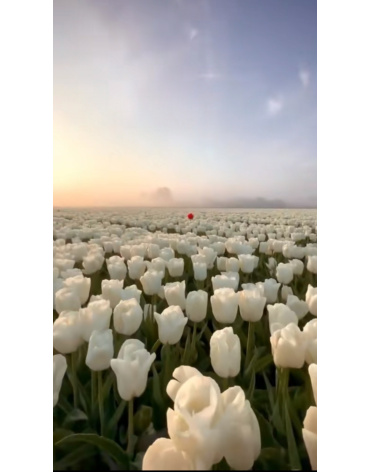 img-20260424-wa0006