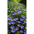 img-20260415-wa0025