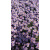 img-20260415-wa0029