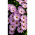 img-20260415-wa0031