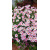 img-20260415-wa0040