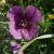 img-20260417-wa0011