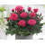 img-20260423-wa0001