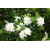 img-20260423-wa0006