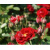 img-20260423-wa0007