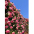 img-20260423-wa0013