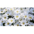 img-20260424-wa0002